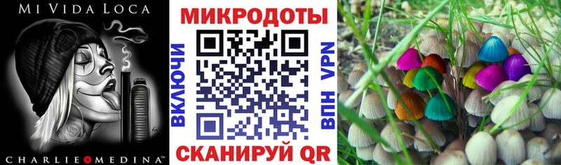 Псилоцибиновые грибы Magic Shrooms Лебедянь